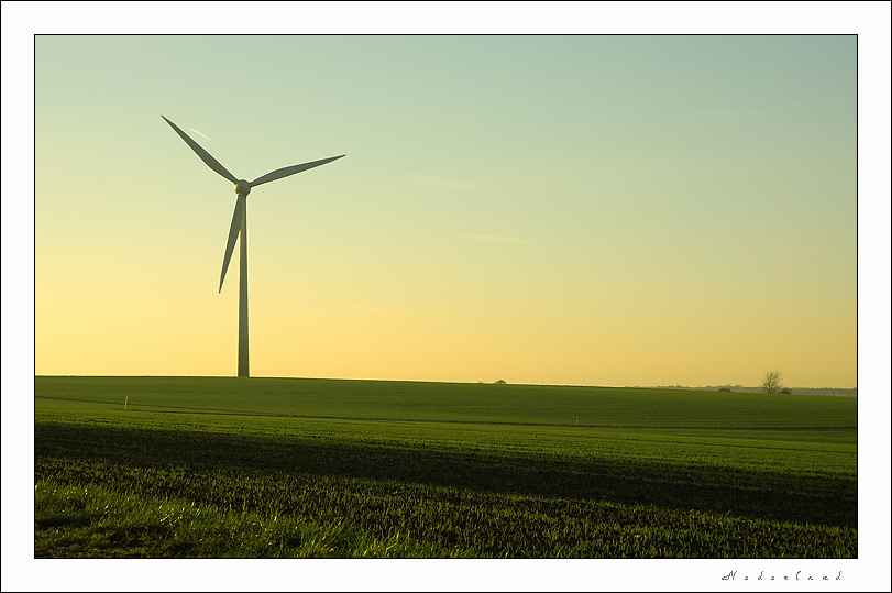 evening in the country of winds. | green, evening, windmill, field