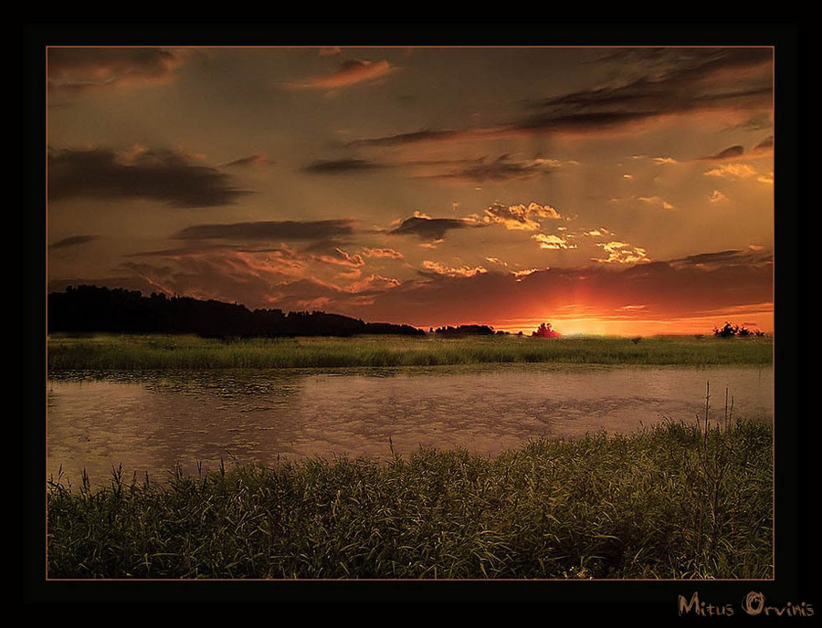 baltic evenings  | dusk, evening, summer, rush, river