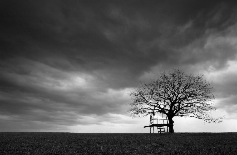 Stormy clouds | tree, clouds, grass, black and white
