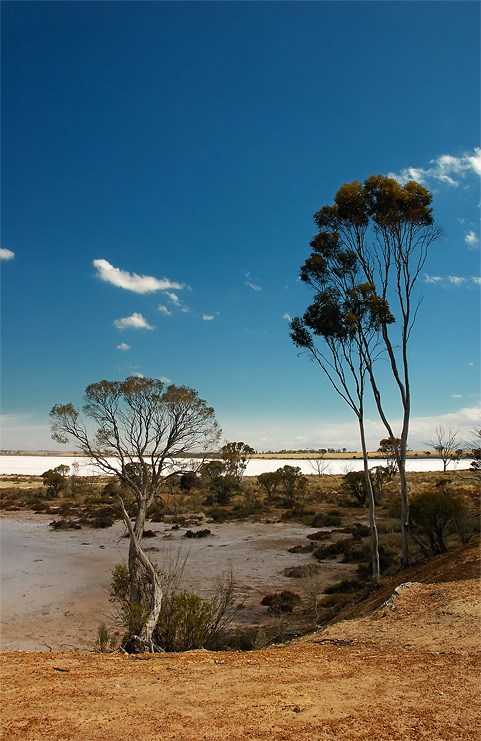 australian steppe | lake, sun, steppe