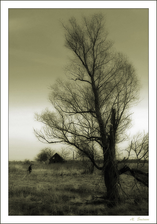 Loneliness | black and white, grass, tree, house, people