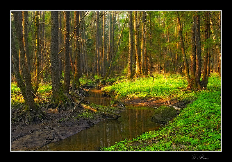 Stone for Alenushka | light, grass, forest, river