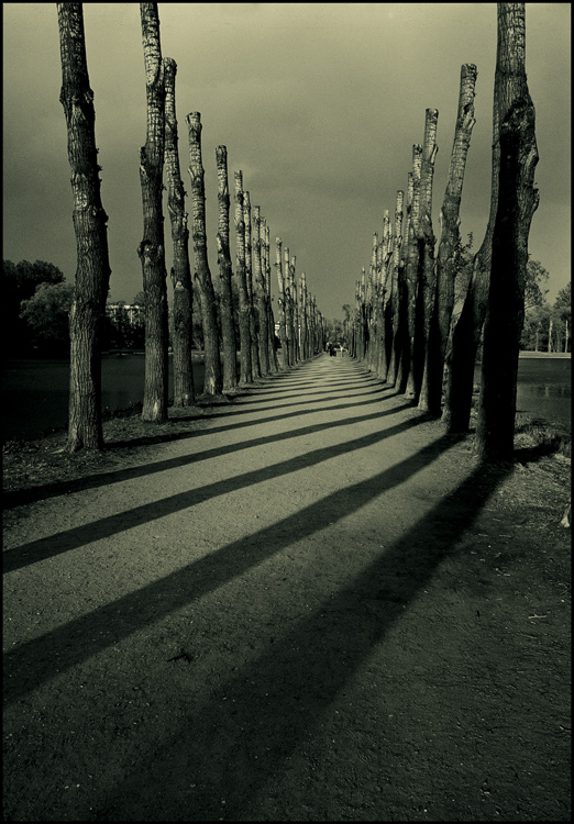 avenue of shadows | shadows, people, bridge, road, black and white