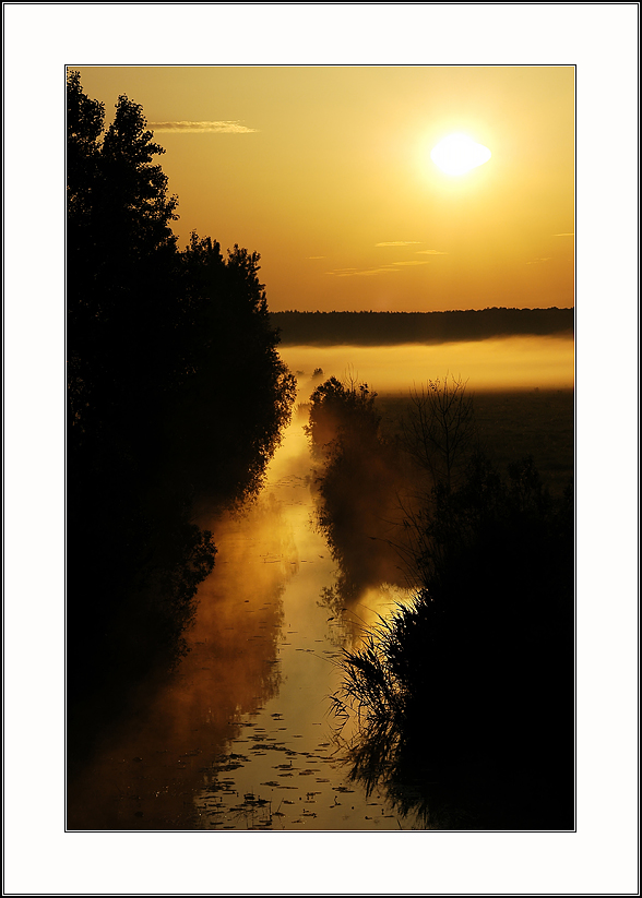 Colors of rising sun or foggy morning... | silhouette, fog, dawn, sun, rush, morning, lake, reflection
