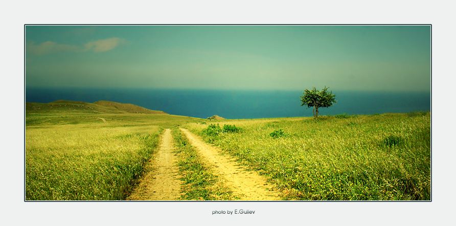 untitled | green, sea, field, road