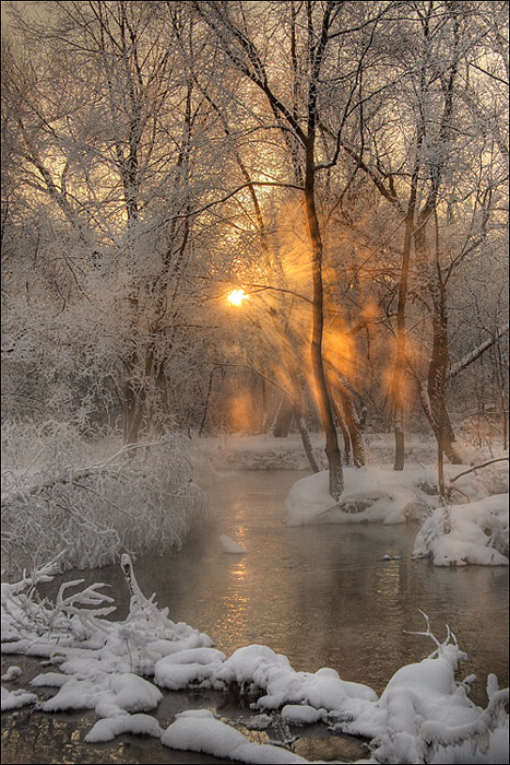 cold dawn | river, sun, snow, winter, forest