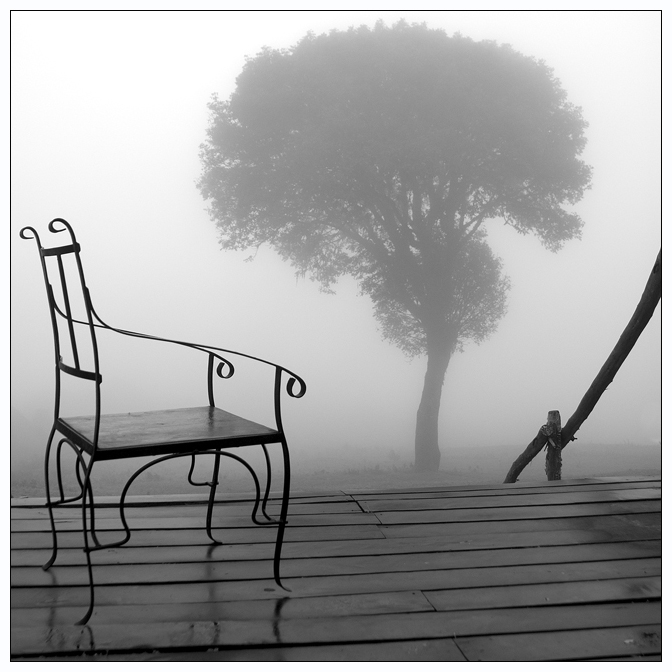 awakening | chair, tree, house, fog, black and white