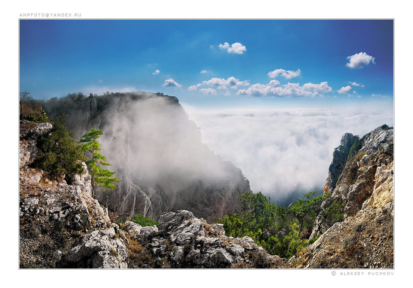 when the fog goes down from mountains | pine, clouds, fog, hdr, mountains