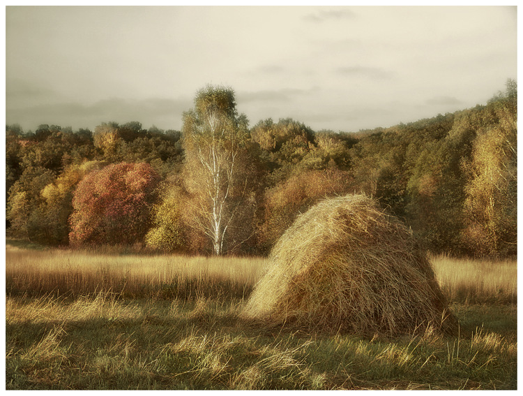 evening song of september | light, haystack, field, autumn, forest