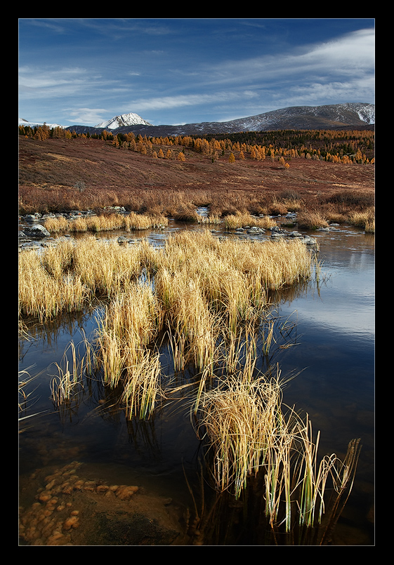 as the mountain river begins | rush, valley, mountains, river, swamp