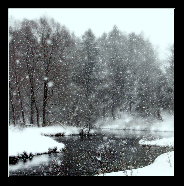 blizzard | black and white, snow, blizzard, river, forest