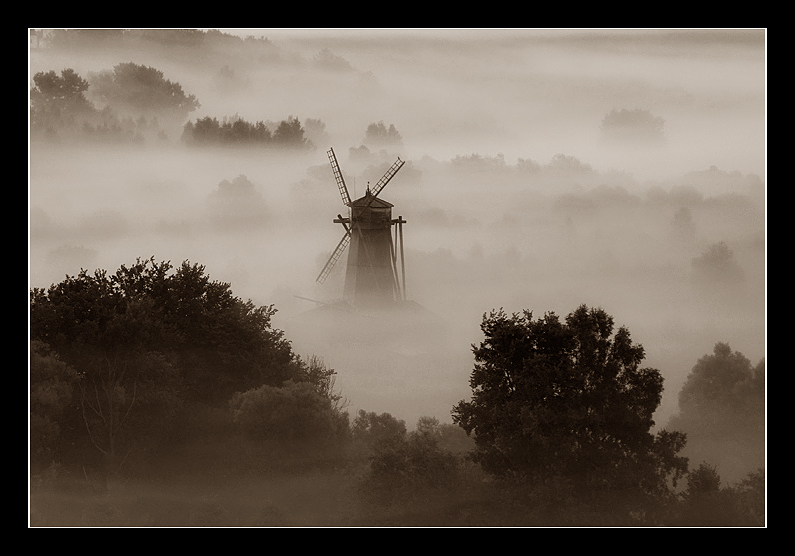 foggy phantom | windmill, sepia, fog, forest