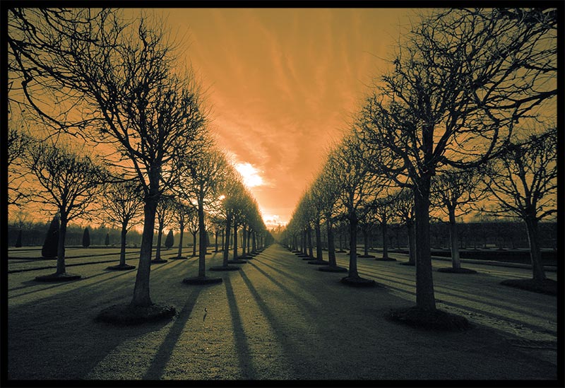 Dawn | sky, sun, park, alley