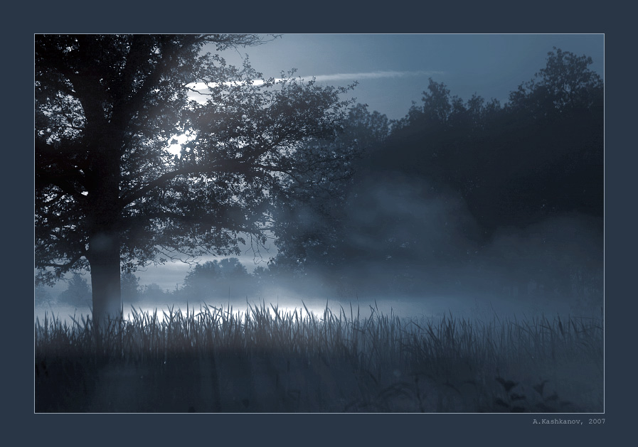 mysticism | night, duotone, mist, grass, moon