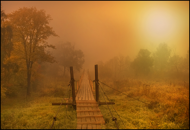bridge in a fairy tale! | bridge, field, sun, mist