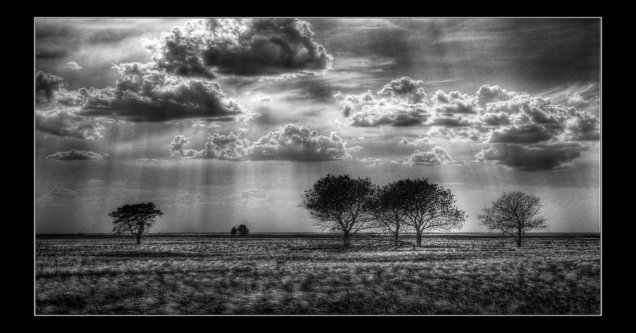 Beams | black and white, steppe, beams, clouds