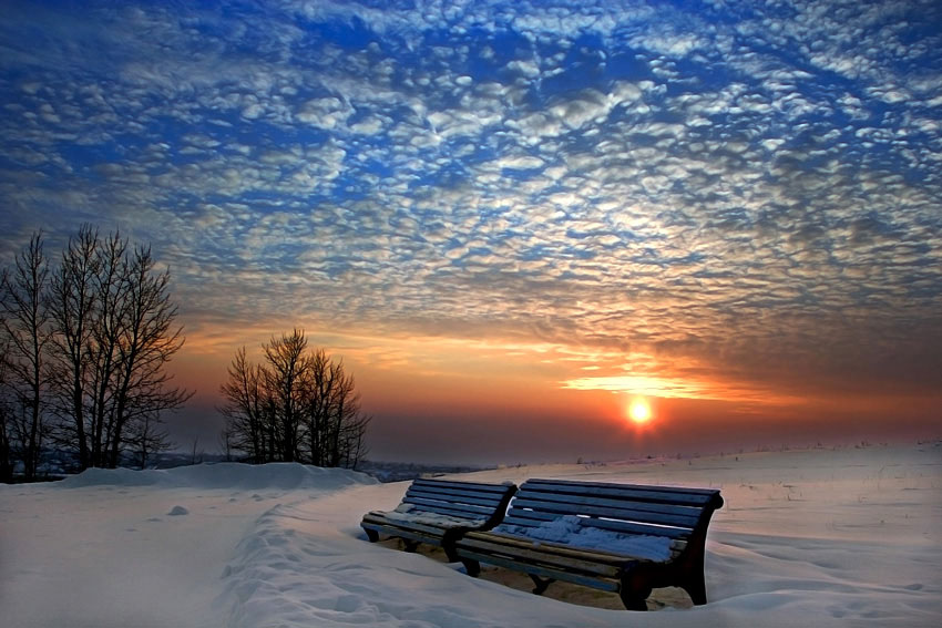 winter evening | winter, bench, dusk, snow, park