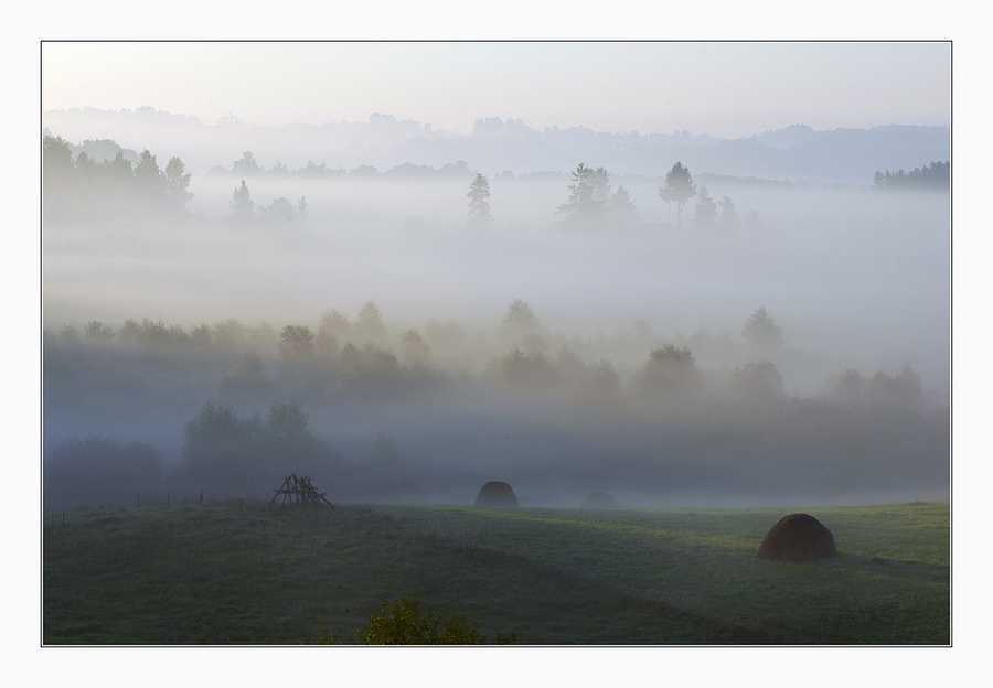 in the morning | forest, haystack, field, morning, fog