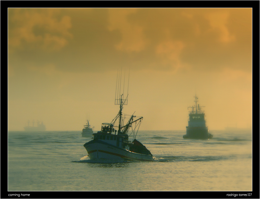 coming home | sea, morning, mist, ship