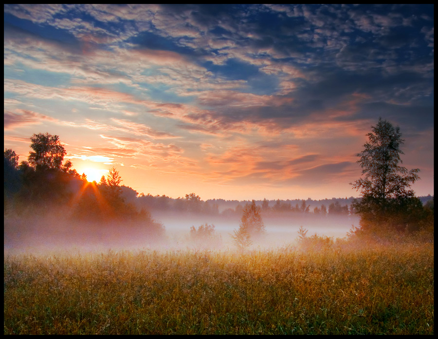 Morning beams | flowers, mist, sky, dawn, field