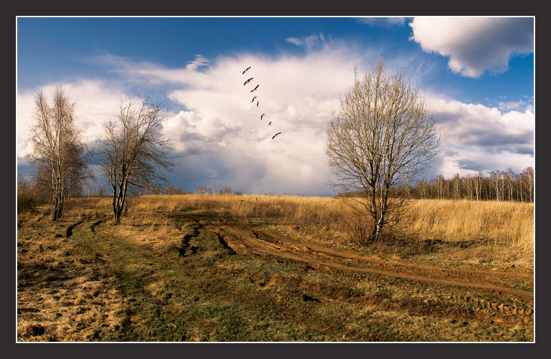 north... | sky, pathway, field, animals, spring