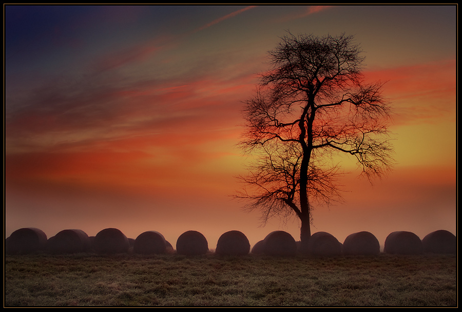 Autumn sunset | tree, haystack, dusk, mist, silhouette