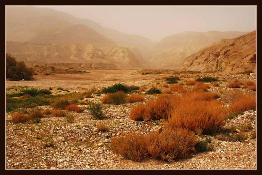 hamsin | desert, mist, sand, mountains