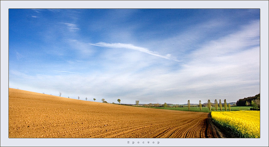 open space | sky, field , plough-land, flowers