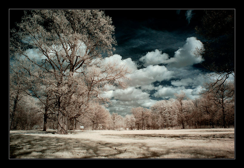 phenomenia | park, sky, clouds, infrared