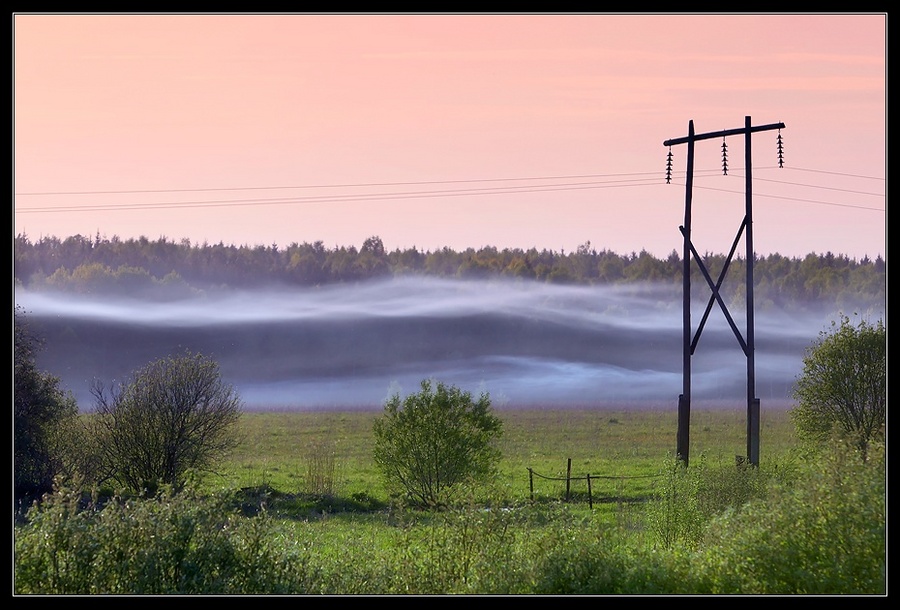 Where the wires lead to | mist, forest, field, green, powerlines