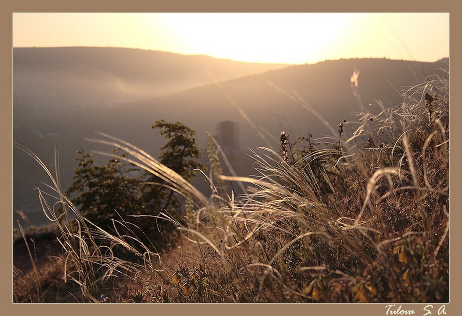 magic crimea | mist, grass, dawn, mountains