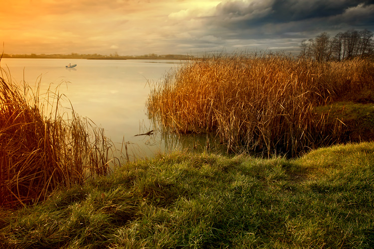 Evening on the lakeside | dusk, evening, boat, rush, lake