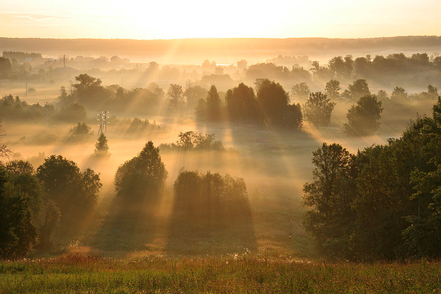 to fascism on www.photosight.ru it is devoted | field, morning, sun, beams, dawn