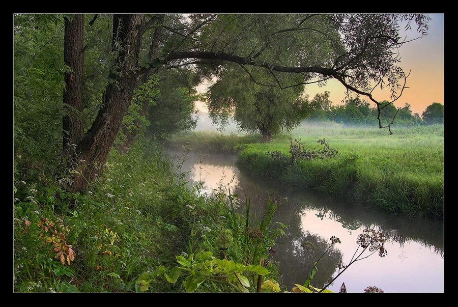 cosy corner... | mist, morning, forest, river