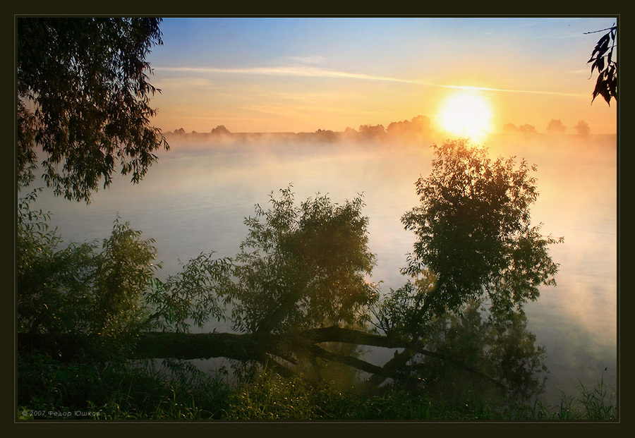 awakening | river, dawn, fog, forest