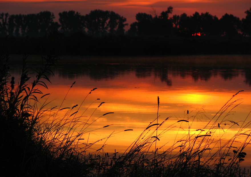 Evening | silhouette, dusk, lake, evening, rush