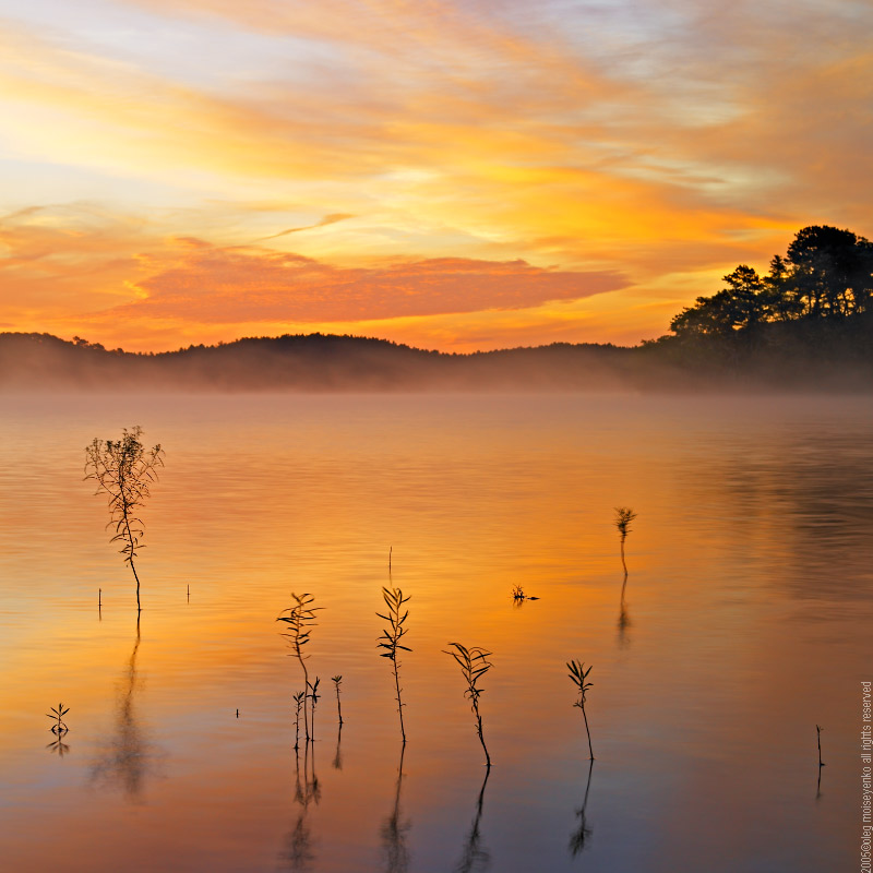 sketch on silk | mist, light, clouds, dawn, lake