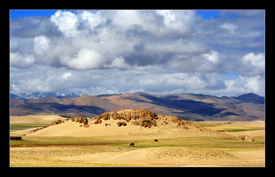 my life in internal tibet | animals, sand, clouds, mountains