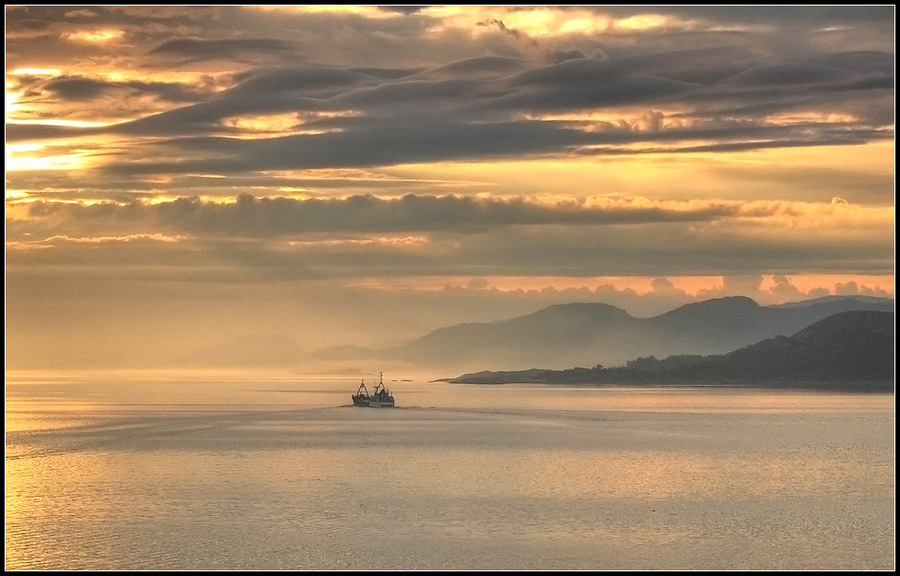 morning gold | fog, clouds, ship, sea, morning