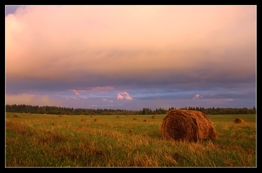 invasion | haystack, hay, field, dusk, evening