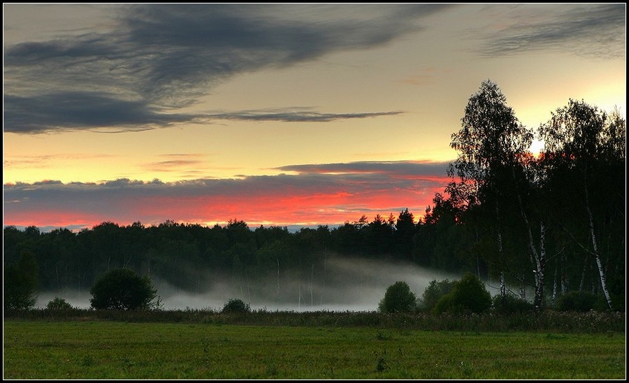 twilight. fog. | autumn, sky, forest, twilight, fog, dusk