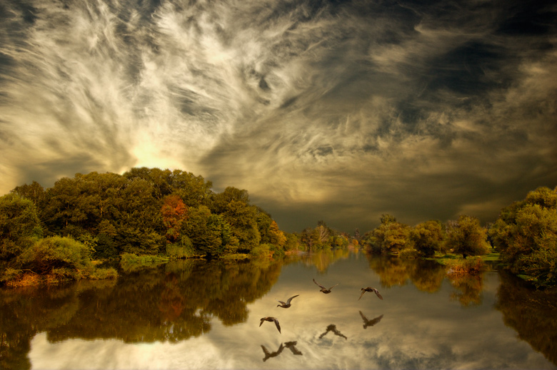 Flying ducks | autumn, hdr, forest, ducks, river