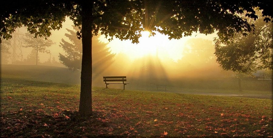 fog on september.. 2 | park, fog, morning, sun, bench