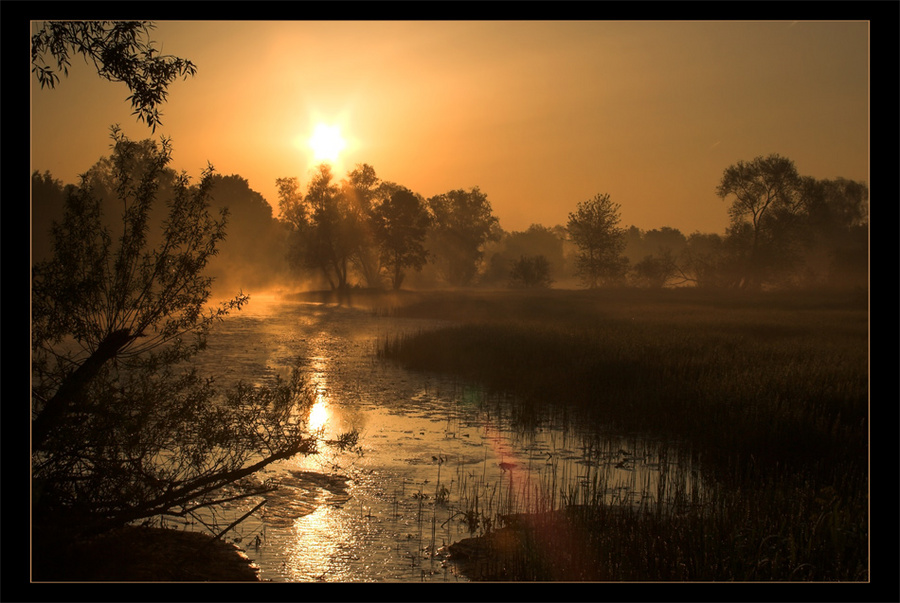 Evening calm | field, swamp, rush, river, evening