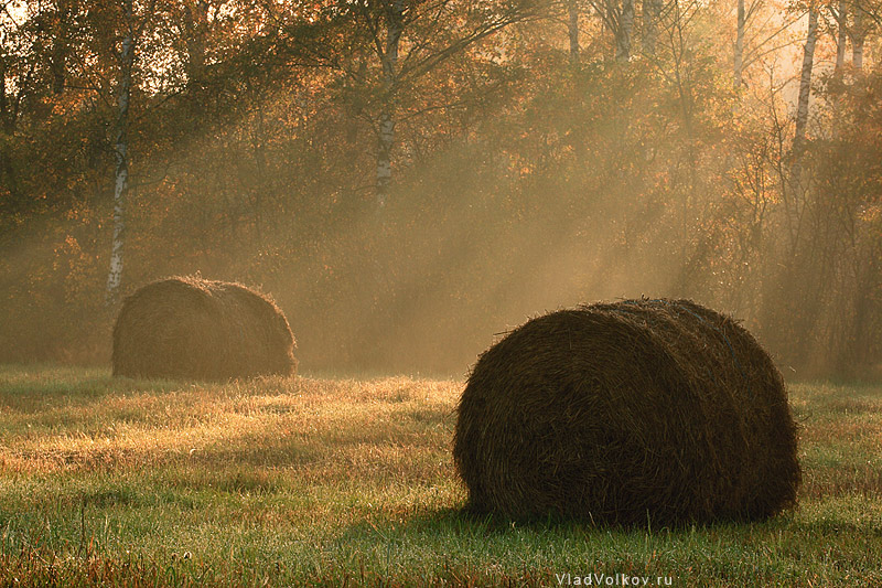 etude with stacks | autumn, fog, haystack, hay, morning, beams