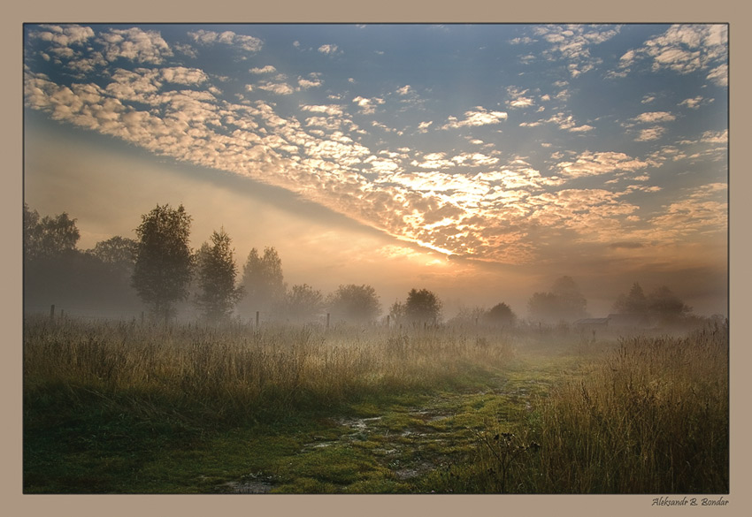 fiery river | sky, rush, fog, morning, swamp