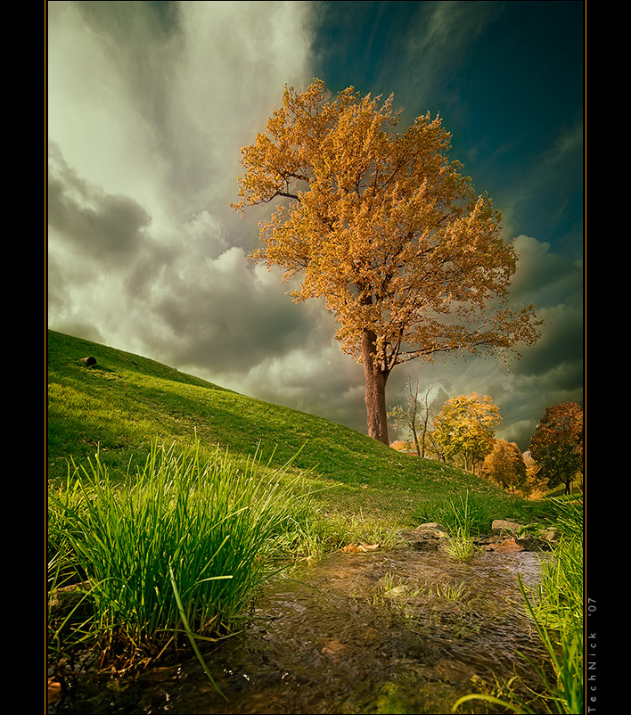 Colors of Autumn (Part.1, Tsaritsyno), continued | gold, park, clouds, stream, autumn, sky