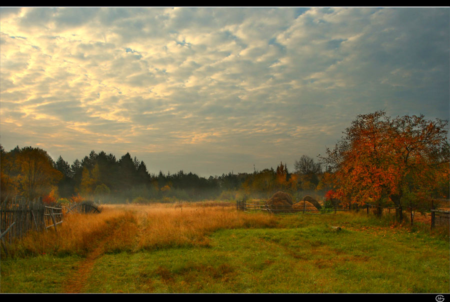 somewhere in between tver and moscow... landscape with apple-tree and haystacks. | clouds, autumn, haystack, hay, field