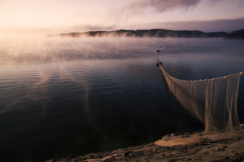 morning in shankou | mist, rocks, morning, sea, shore