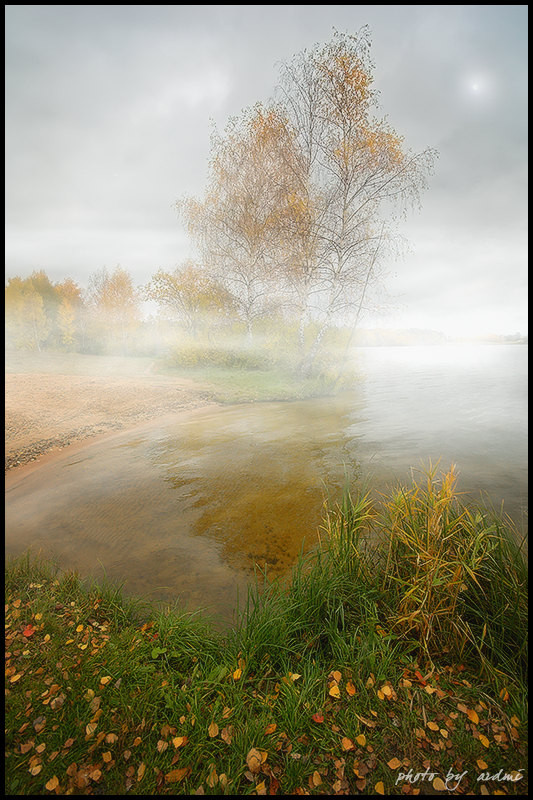 in october | autumn, leaves, grass, forest, lake